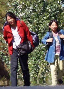 国产高清视频免费最新在线